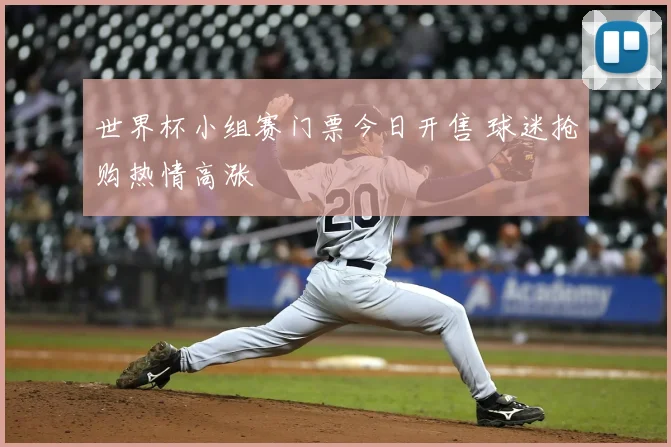 世界杯小组赛门票今日开售 球迷抢购热情高涨