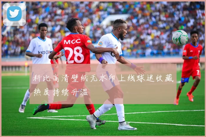 科比高清壁纸无水印上线球迷收藏热度持续升温