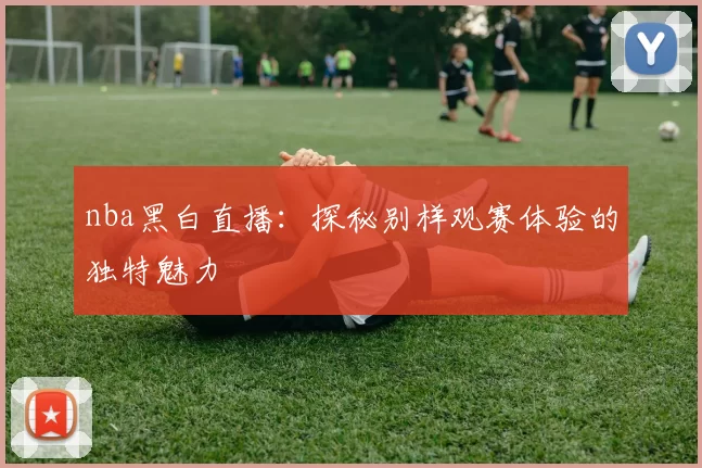 nba黑白直播：探秘别样观赛体验的独特魅力