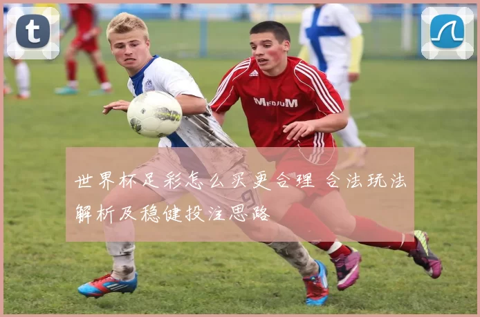 世界杯足彩怎么买更合理 合法玩法解析及稳健投注思路