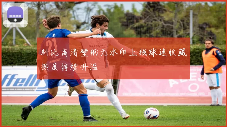 科比高清壁纸无水印上线球迷收藏热度持续升温